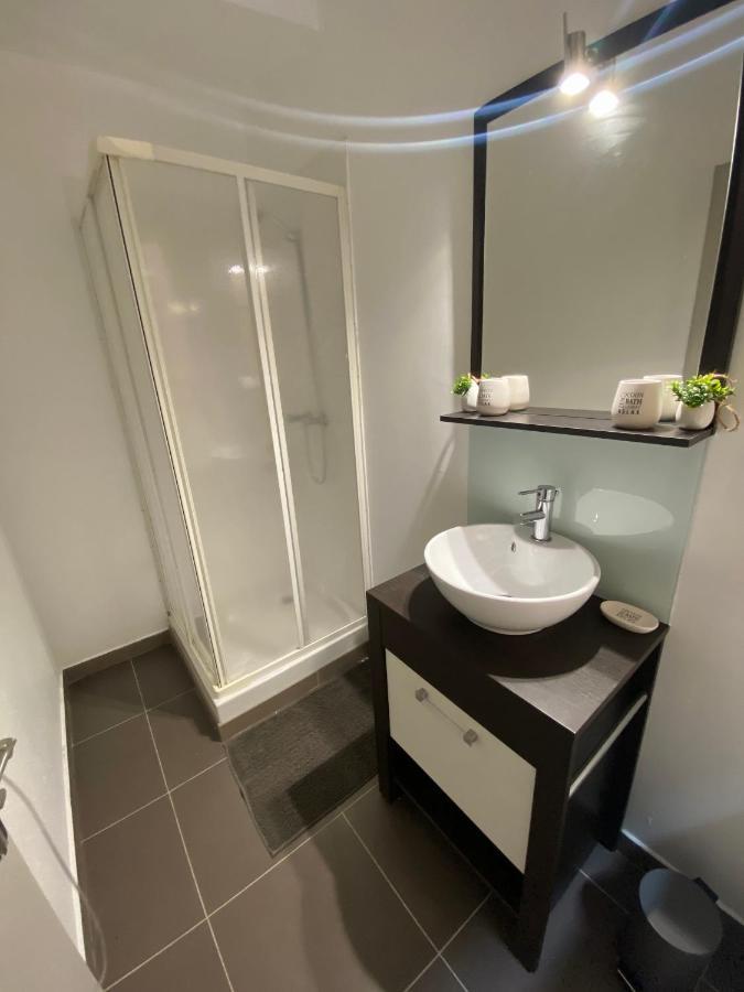 Апартаменти Le Patio St Etienne - Cite Episcopale - Parking Inclus Альбі Екстер'єр фото